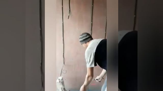 Как выставить маяки для штукатурки под 90 градусов, очень быстро и удобно быстрее невозможн смотреть онлайн