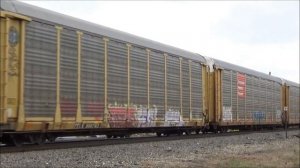 Canadian National Train Mixed freight