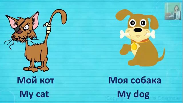Притяжательные местоимени на английском языке