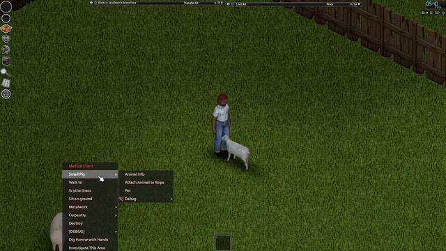 Project Zomboid Merch Is Coming  Animal Petting!  Project Zomboid Development Update  News!