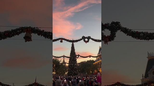 Opening Day Disneyland Christmas Tree Lighting | First one of 2022!