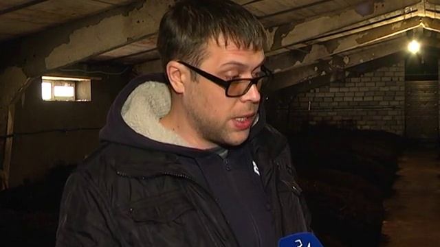 Производство биогумуса. Дождевые черви "Старатель". смотреть онлайн