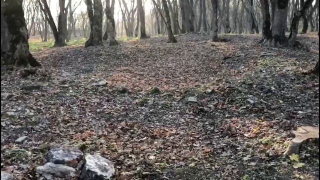 Часть 2. Татарское городище.