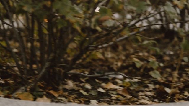 Rebirth смотреть онлайн