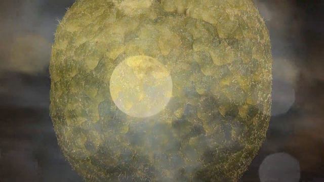 Moonlight Serenade - Лунная серенада смотреть онлайн