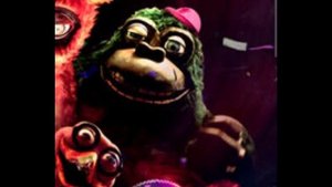 как победить страну чудес Вилли