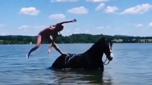 ПРИКОЛЫ С ЛОШАДЬМИ-РЖУ!!!FUNNY HORSES-СМЕШНЫЕ ЛОШАДИ- CUTE ANIMALS(HORSES)/Funny jokes with horses