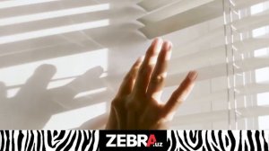 ZEBRA Жалюзи — 28 лет на рынке Узбекистана