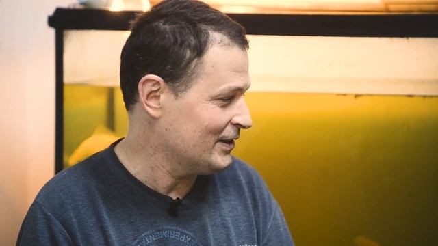 СЕНСАЦИЯ. Реликтовая золотая рыбка,исполняет любые желания. смотреть онлайн