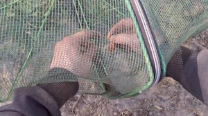 Рыбалка на природе