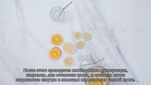 Что такое анабиоз и можно ли погрузить в него человека