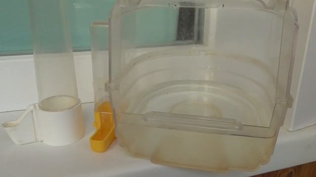 О питьевой воде для попугаев смотреть онлайн