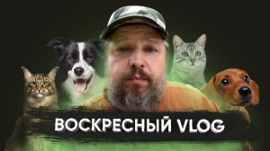 VLOG_ Волонтеры и хвостики __ Как прошло наше воскресенье