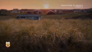 Евангелие от Марка под звуки природы. Современный перевод Библии #biblevision