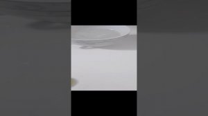 вода + сода опыт
