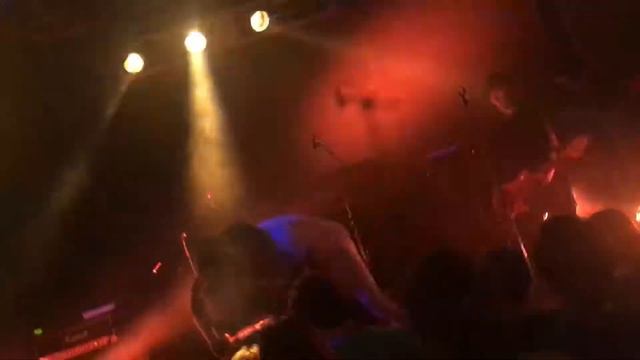 Animal Jazz - Ответ нет. смотреть онлайн