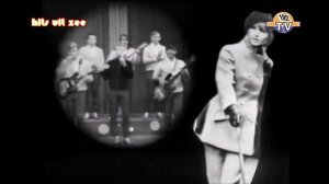 NEW * Hanky Panky - Tommy James & The Shondells {Stereo}