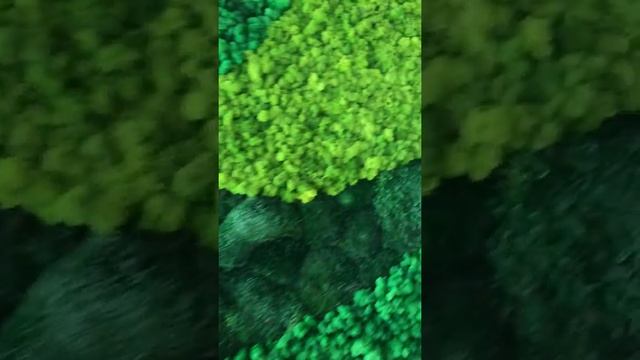 Панель из стабилизированного мха ягеля и кочек по индивидуальному эскизу.