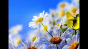 Устарели сертификаты безопасности. Перестали открываться сайты в старых Windows