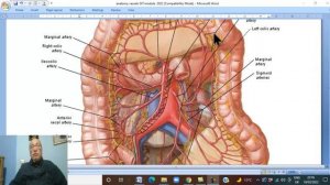 Anatomy GIT Module in English ( Inferior mesenteric artery) ,  by Dr, Wahdan