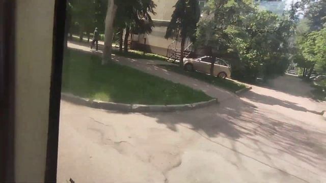 Поездки #152 Троллейбус 1: Ст. Калуга-1 - Ул Циолковского // г. Калуга 08.06.2022 смотреть онлайн