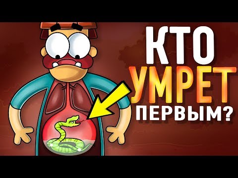 Что Если Проглотить Самую Ядовитую Змею смотреть онлайн