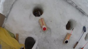 зимняя рыбалка   мотобуксировщик форза