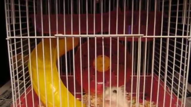 Потягушки смотреть онлайн