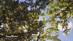 Ләйлә Галиева  Кадерен белгәннәргә