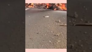 Ростовская область: 4 человека погибли в ДТП на трассе "Зимовники - Волгодонск". ?