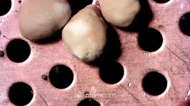 Засор капиллярной трубки холодильника. Ремонт холодильника. Курсы холодильщиков