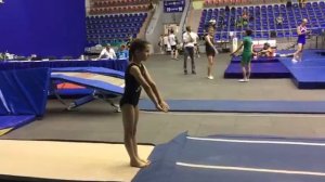 04.07.2018 АКД (рондат,6 фляков, винт)