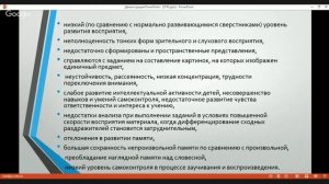 Особенности развития дошкольников с ЗПР