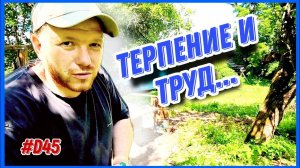 Купил и восстанавливаю заброшенный хутор и дом. 45 день. #хочувдеревню #хутор #хуторпанаяна