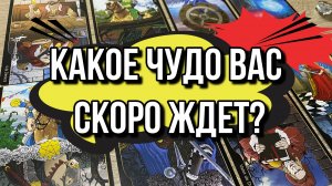 💃🏽КАКОЕ ЧУДО ВАС СКОРО ЖДЁТ_ 👯_♀️ гадание на таро Tarot Reading