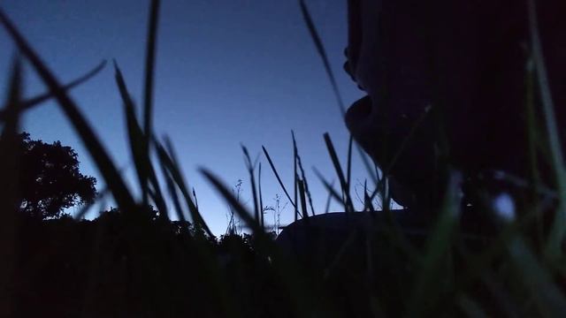 Like Real People Do - Hozier (An Ocarina Cover at Dusk, Tabs in the Description) смотреть онлайн