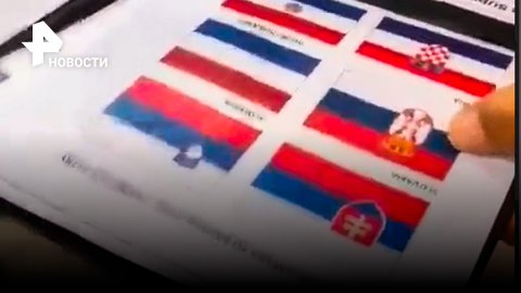 Русофобия в Мельбурне: охранник отбирает флаг у фаната - принял сербский триколор за российский
