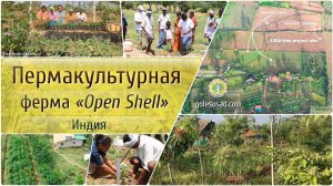 Пермакультурная ферма  "Open Shell"! Индия