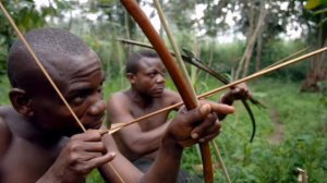 КТО  ТАКИЕ  ПИГМЕИ  ?