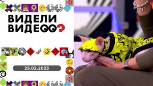 Видели видео? Выпуск от 25.02.2023