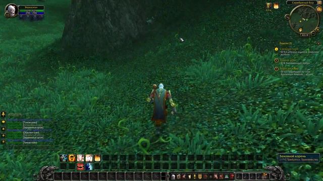 #42 Прохождение World of warcraft - Серебряный бор смотреть онлайн