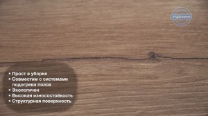 RITTER ORGANIC 34 ДУБ ЛИОНСКИЙ БАРХАТ КЛАССИЧЕСКОЕ ДЕРЕВО