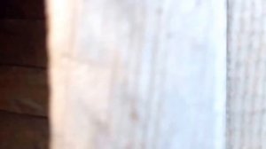 Hatsan 125 и газовая пружина (170атм) стрельба