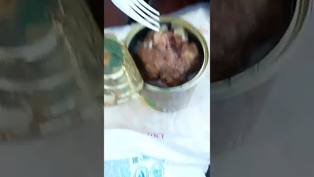 обзор белоруской тушенки. смотреть онлайн