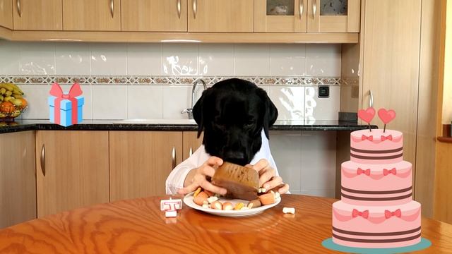 День Рождения, 1 годик. Говорящая собака смотреть онлайн