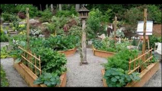 Высокие грядки из дерева! Супер идеи! смотреть онлайн