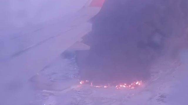 Предварительной причиной страшного пожара в Шушарах стала неисправность электропроводки.#shorts#