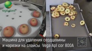 Машина для удаления сердцевины яблока и нарезки на слайсы