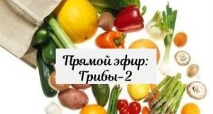Прямой эфир Грибы 2