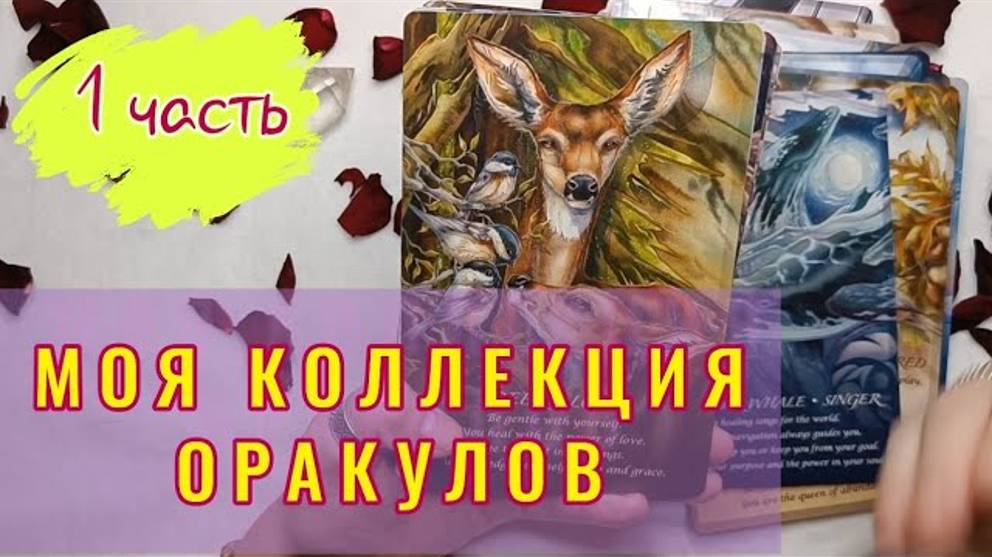 Моя коллекция карт ОРАКУЛОВ. 1 часть. Обзор моей коллекции колод